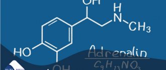 Адреналин – влияние гормона на организм