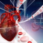 Alcohol: heart and blood vessels