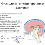 Physiology of intracranial pressure