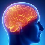 Brain glioma: what is it?