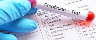 Creatinine - determination of the state of the muscular system and kidneys
