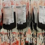 Кровь: почему красного цвета, из чего она состоит
