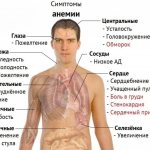 Symptoms of low hemoglobin in men