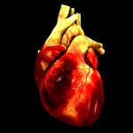 Types of cardiovascular diseases