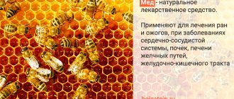 The effect of honey on the body